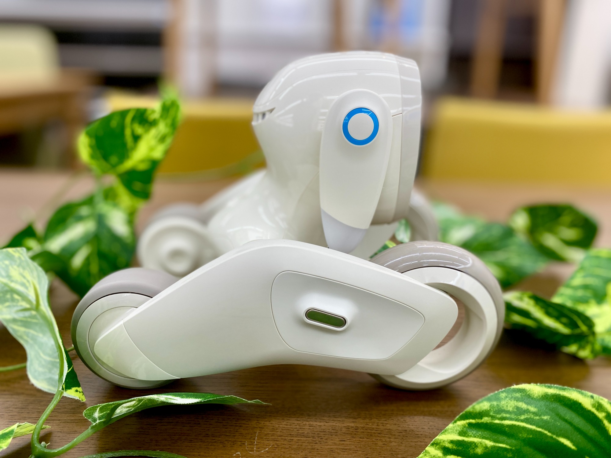 Loona(ルーナ)ペットロボットが買取入荷いたしました！｜2024年08月02