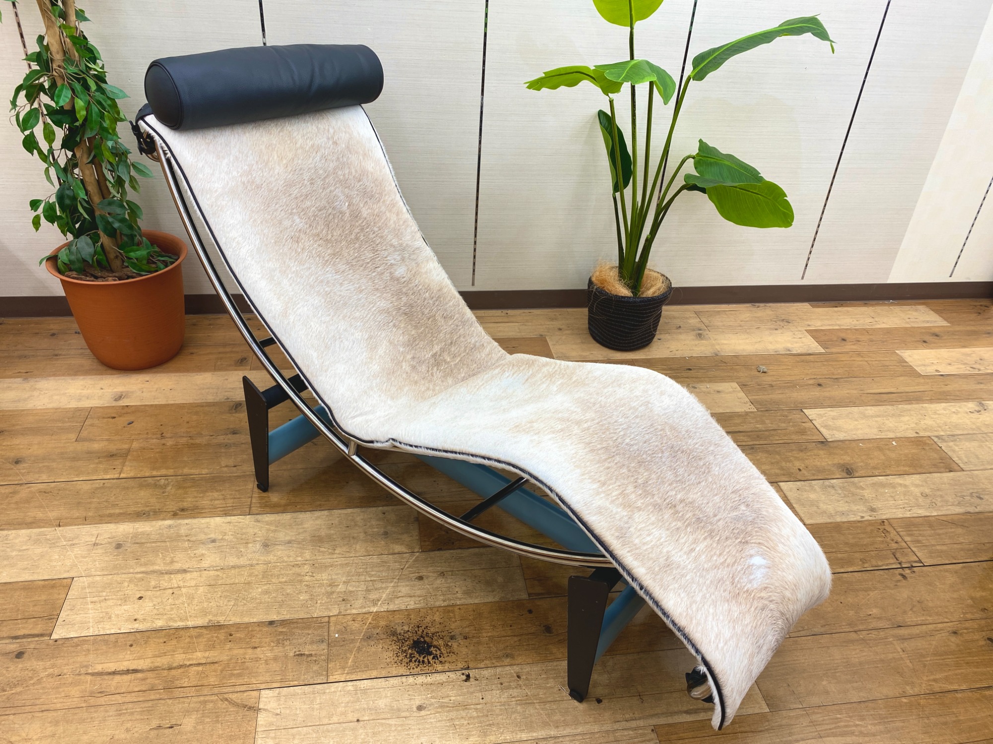 CASSINA (カッシーナ) シェーズロング が買取入荷いたしました 