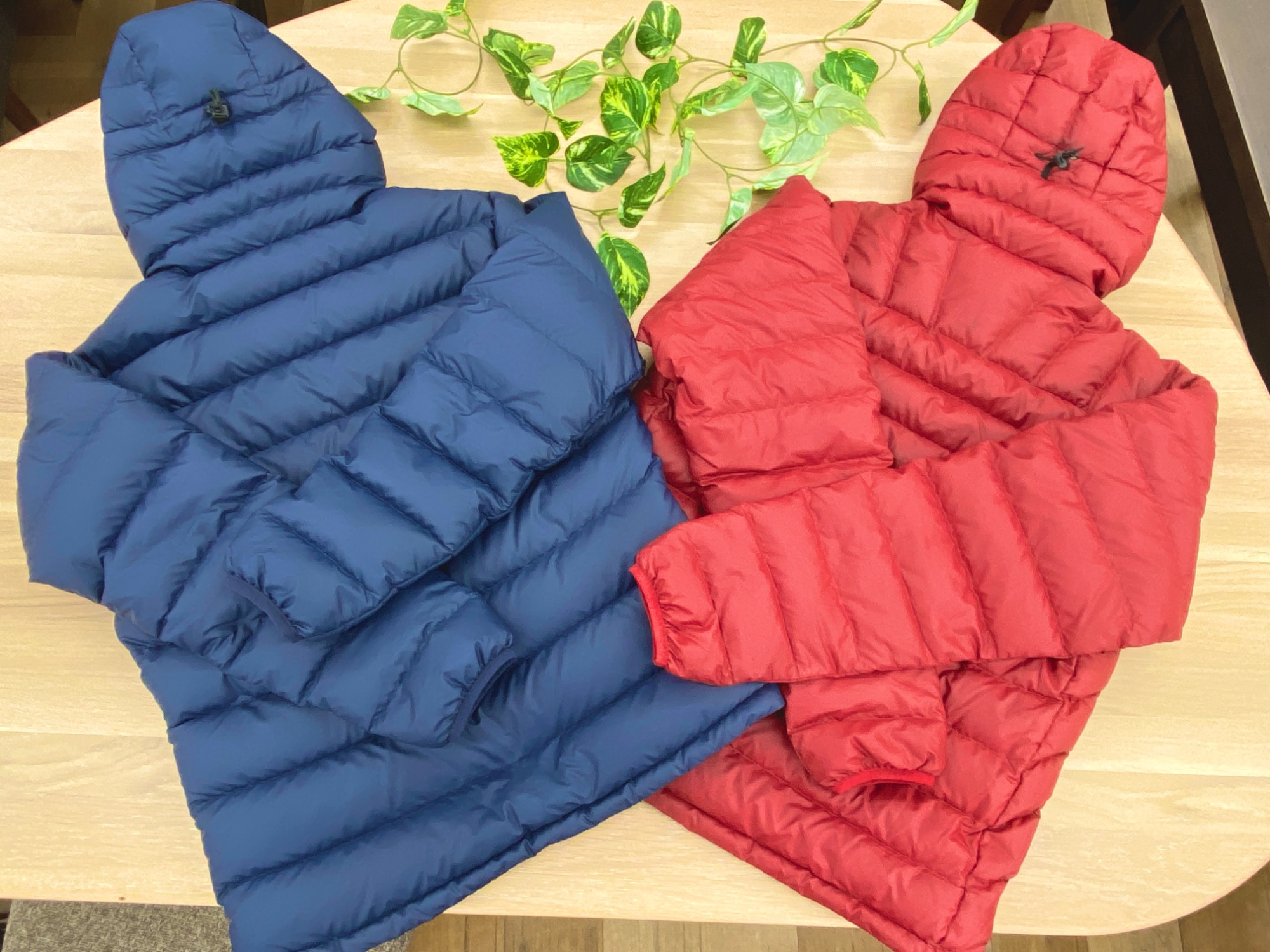 Patagonia (パタゴニア) ダウンセーターが買取入荷いたしました Patagonia (パタゴニア) ダウンセーターが買取入荷いたしました
