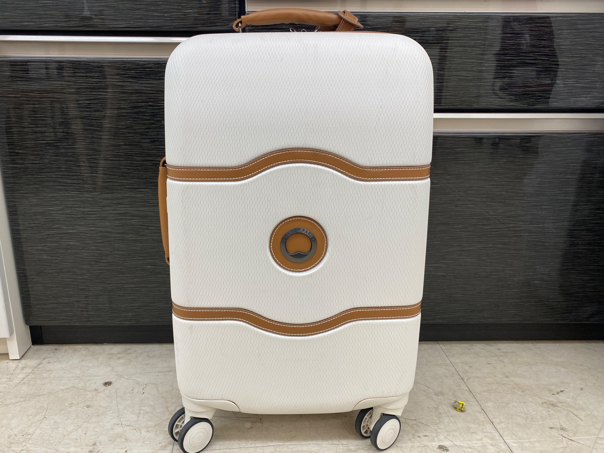 デルセー　キャリーケース(約40L) 公式 DELSEY デルセー RASPAIL 54cm ラスペイル スーツケース