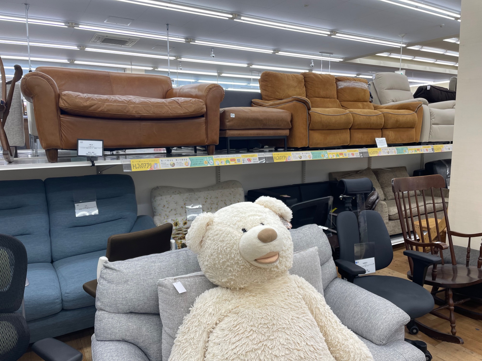 チェストやソファなどの家具・家電を多数をお取り扱いしております 