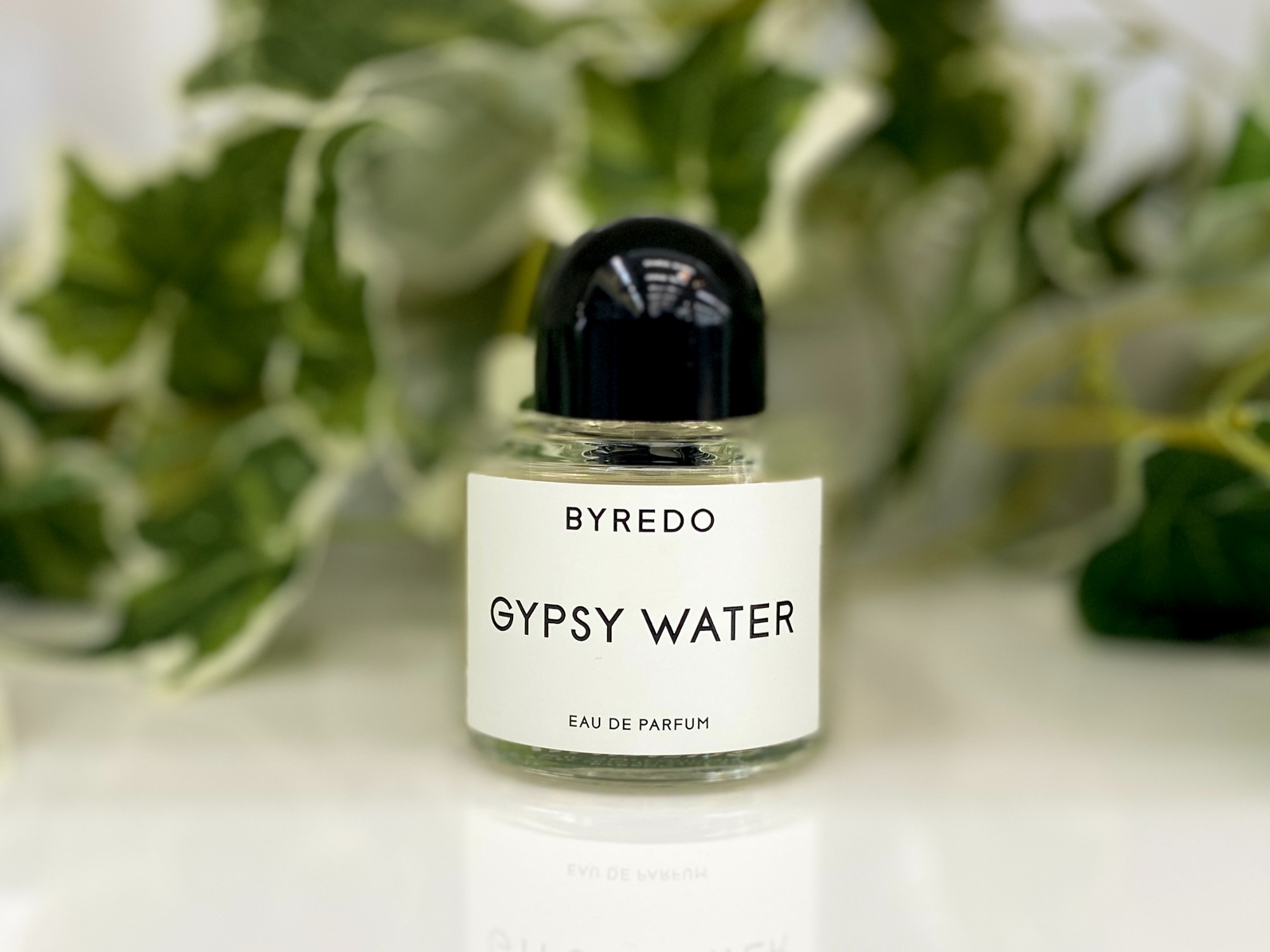 BYREDO(バイレード) ジプシー ウォーター 買取入荷致しました