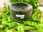 トレファク大和店ブログ