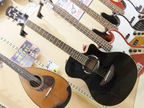 楽器・ホビー雑貨のギター