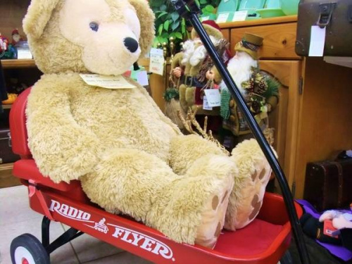 16年10月15日：画像６