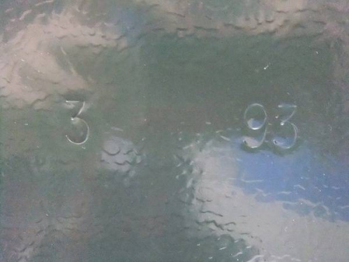 Colemanの大和市　キャンプ