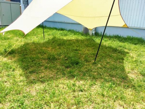 17年05月04日:画像6