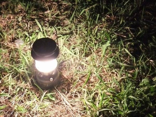 17年06月25日：画像６