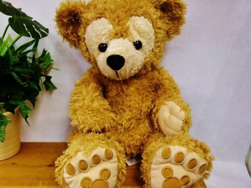 Disneyのホビー　大和