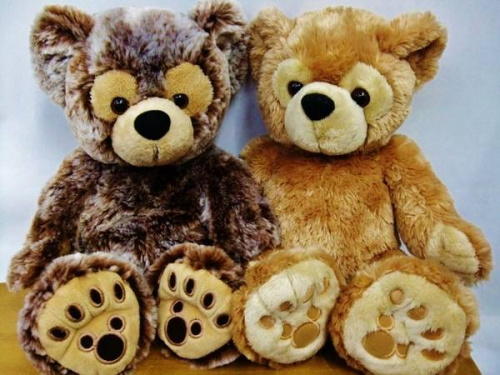 17年10月29日：画像６