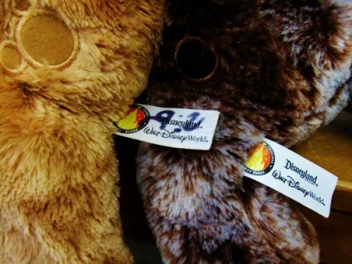 17年10月29日：画像７