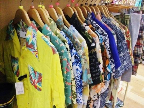 サーフィンのSun Surf