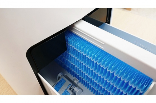 19年02月24日：画像６