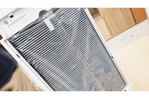 19年02月24日：画像８