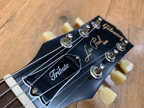 GIBSON（ギブソン）の大和　楽器