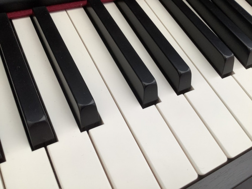 FENDER　MEXICO（フェンダーメキシコ）の大和　楽器