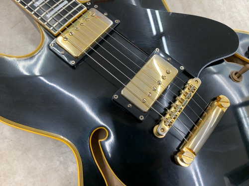 EDWARDS(エドワード)の大和 楽器
