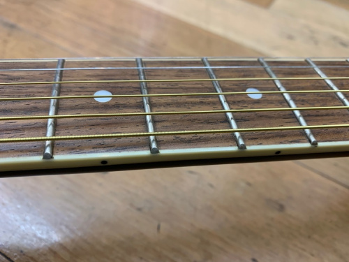 FENDER JAPAN(フェンダージャパン）の大和　楽器