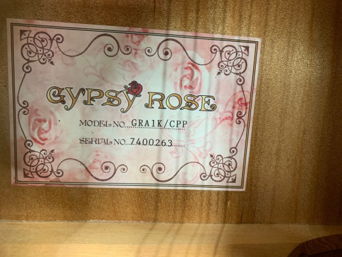 ギターのGYPSY ROSE(ジプシーローズ）