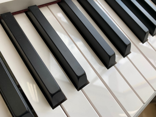 コルグの大和　楽器