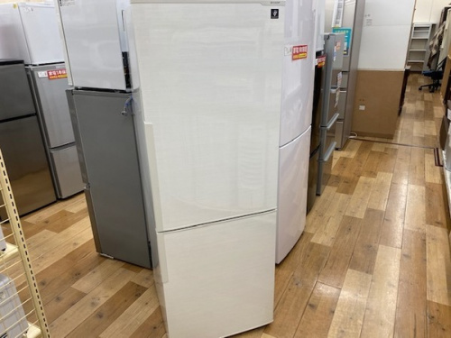 生活家電の2ドア冷蔵庫