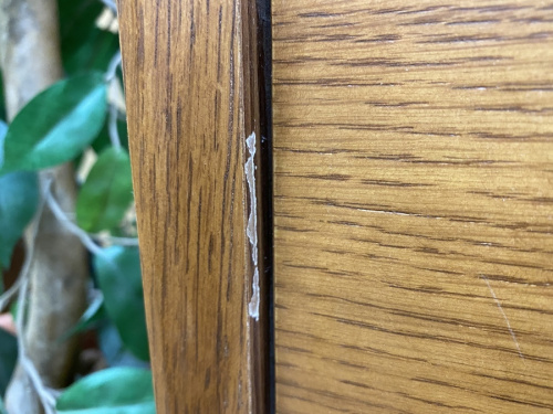 21年05月09日：画像８