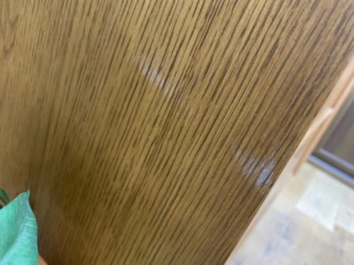 21年05月09日：画像９