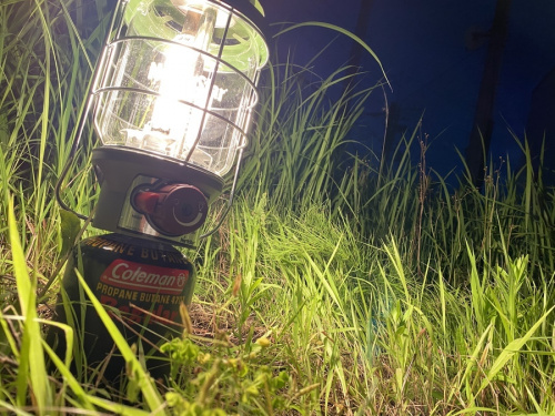 21年07月01日：画像８