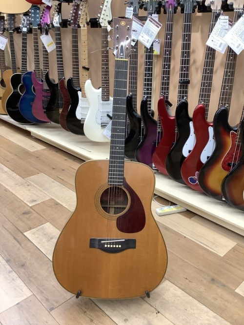 中古楽器店のギター