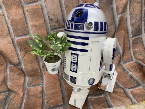 21年07月29日：画像７