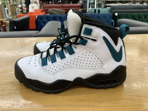 NIKE ナイキのAIR DARWIN OG
