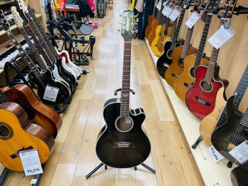 ギターのTakamine(タカミネ)
