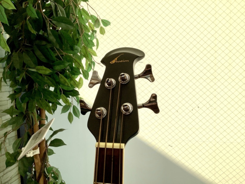 Epiphoneのオベーション