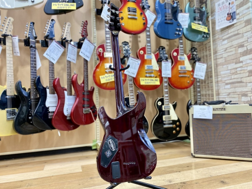 エレキギターのSCHECTER