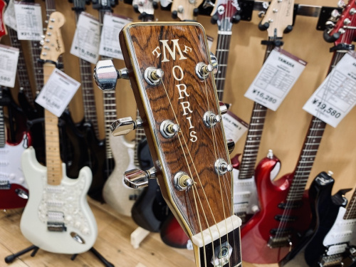 MORRISのモーリス