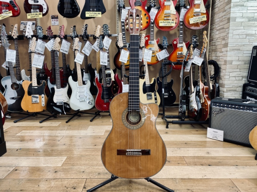 美品　お値下げ　Lumber LCG5ENA Lumber (ランバー) エレガットギター LCG5ENAが買取入荷しました