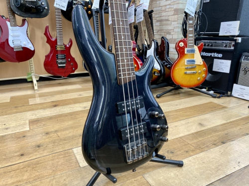 ibanezのアイバニーズ