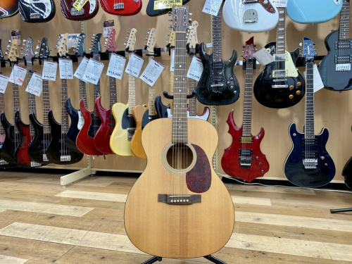 中古楽器店のアコギ