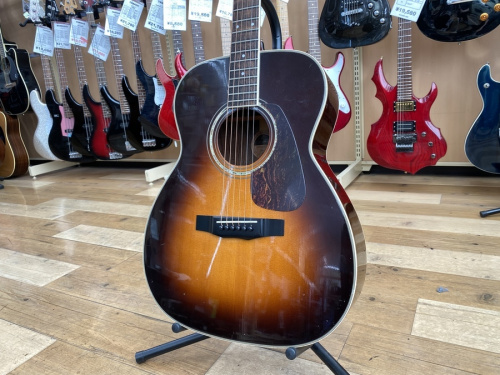 MORRISのモーリス