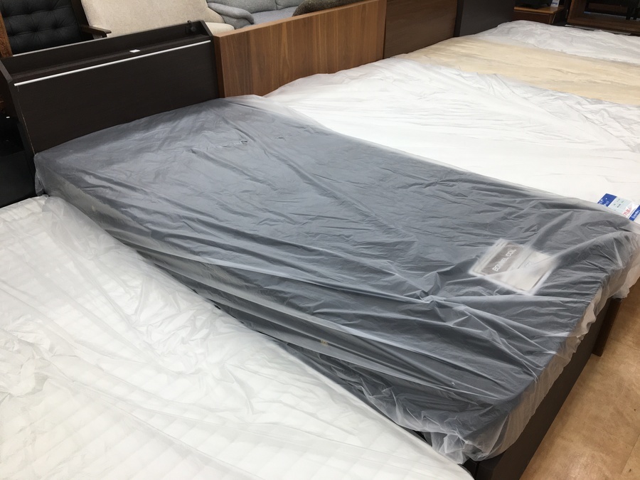 【トレファク摂津店 店頭限定】 シングルベッド入荷致しました！！ シングルベッドを買取入荷いたしました！｜2024年07月18日｜リサイクル