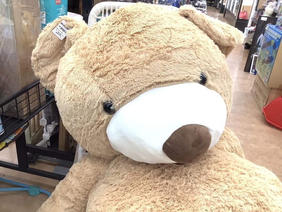 No.20　クマのぬいぐるみ（豊橋市資源化センターリユース品） No.20 クマのぬいぐるみ（豊橋市資源化センターリユース品）