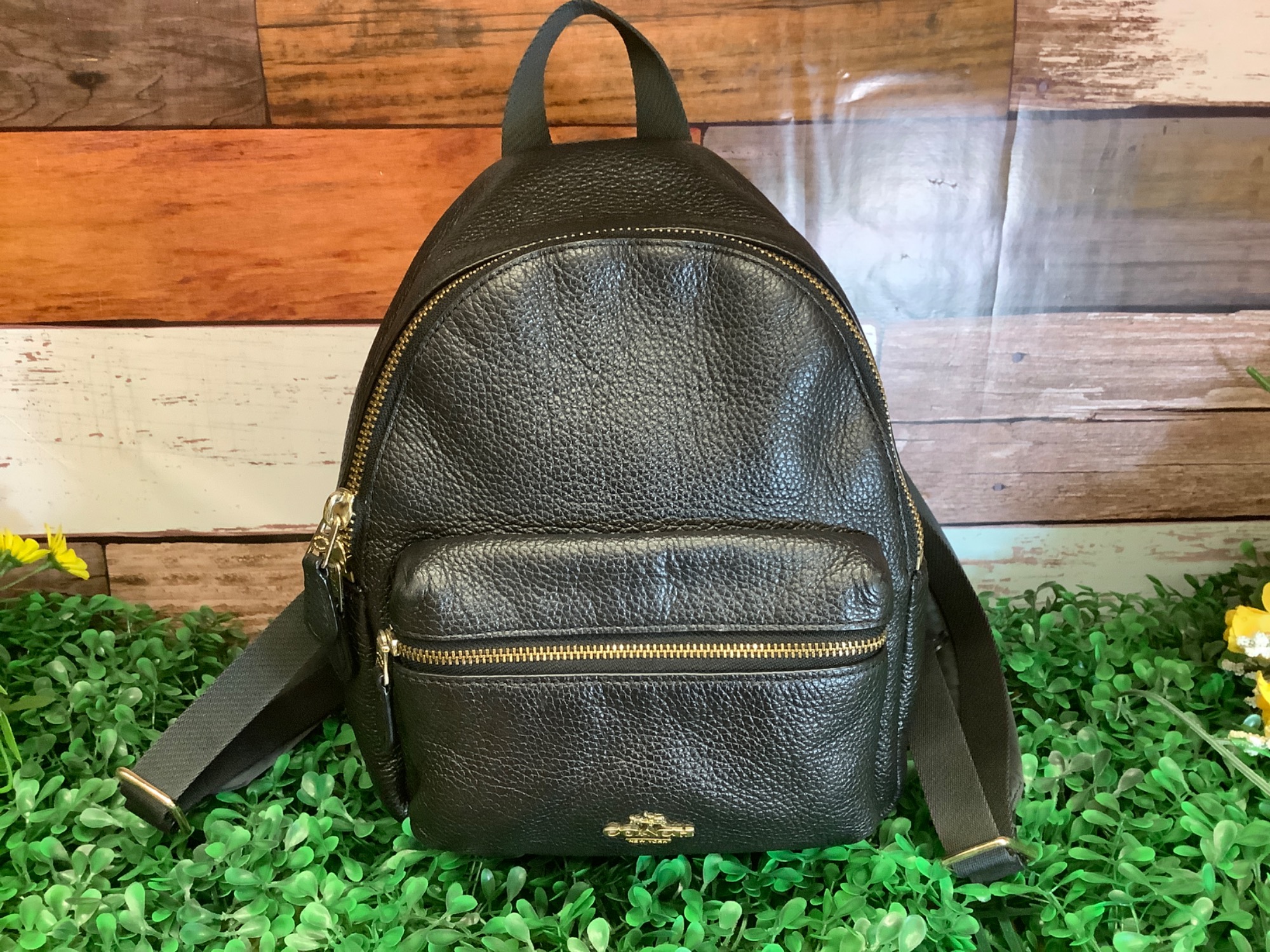 美品☆送料無料☆ コーチ メンズ COACH チャールズ バックパック リュック デイバック その他 【新品】COACH メンズバックパック 送料無料