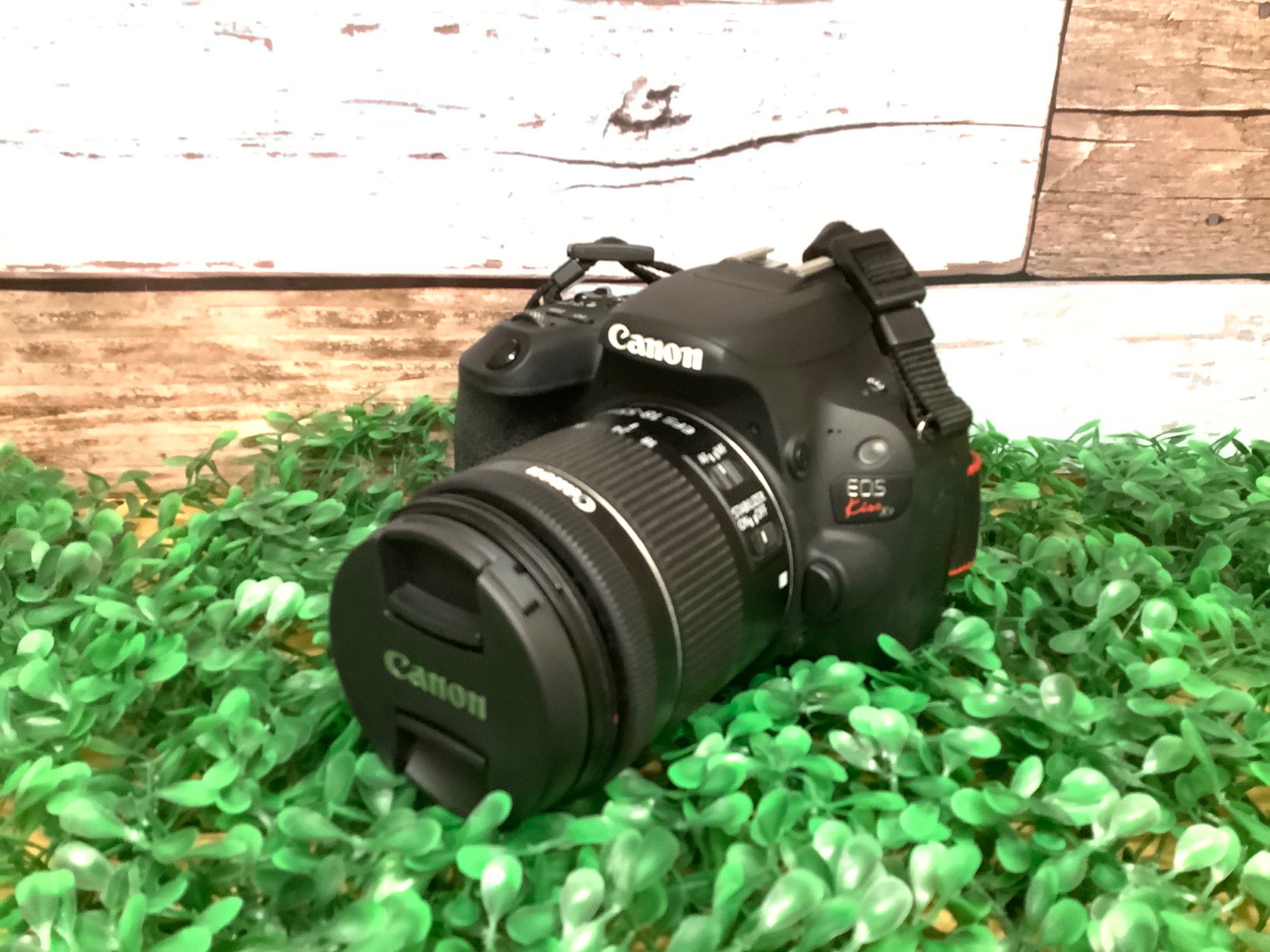 2420画素】Canonのデジタル一眼レフカメラをご紹介！！｜2024年01月25