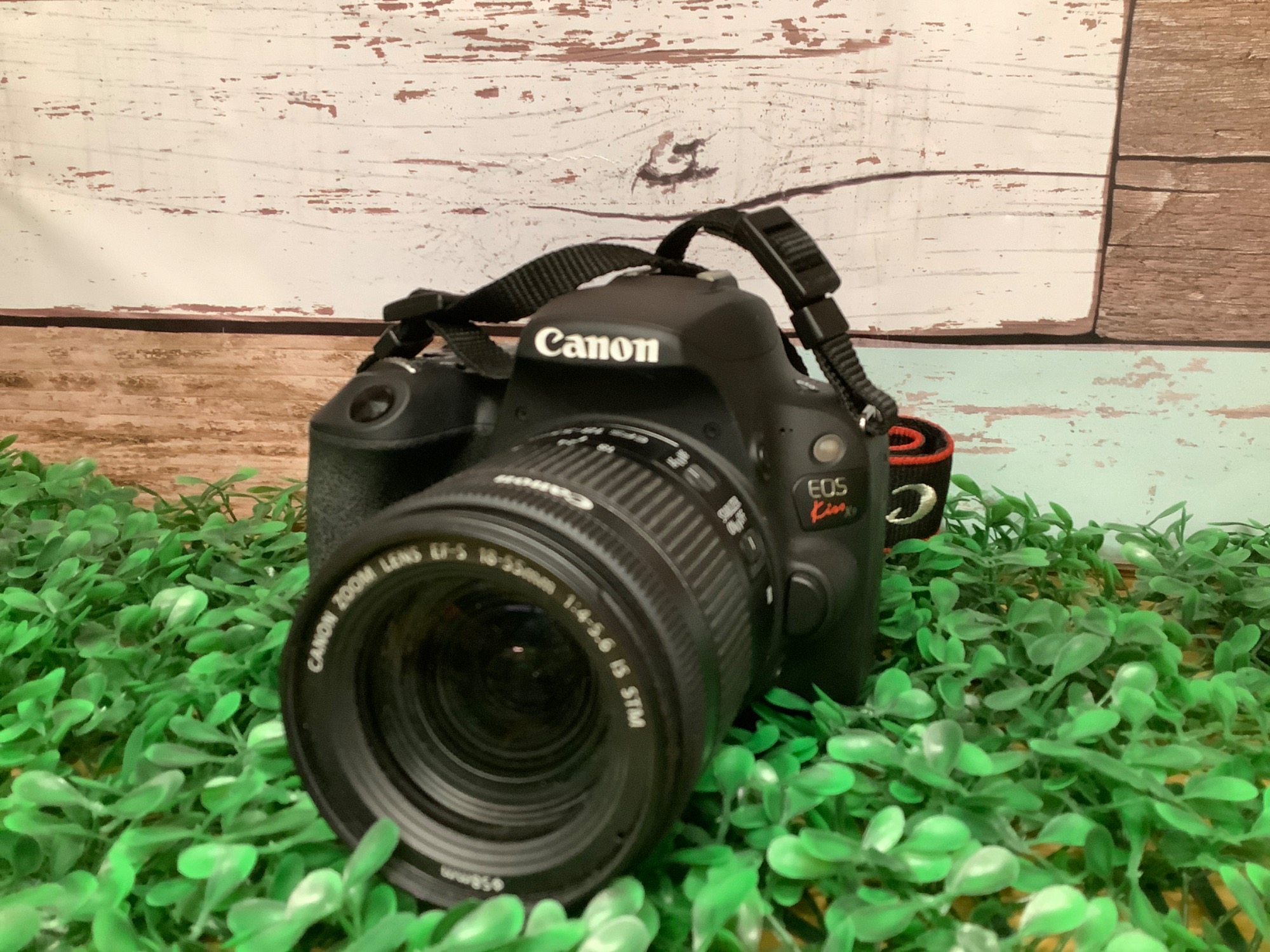 2420画素】Canonのデジタル一眼レフカメラをご紹介！！｜2024年01月25