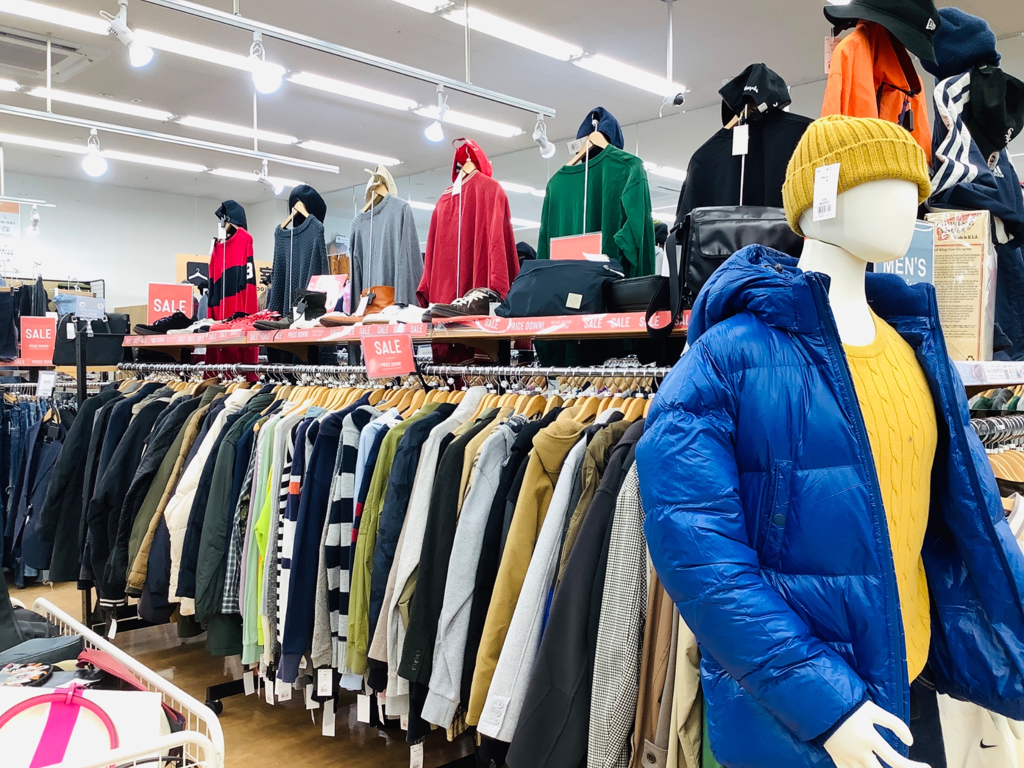 冬物衣類セール中！！】お買い得コーナーをご紹介したします☆｜2024年