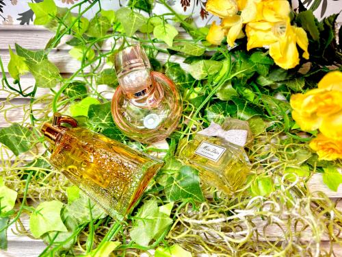 トレファクブログ画像1