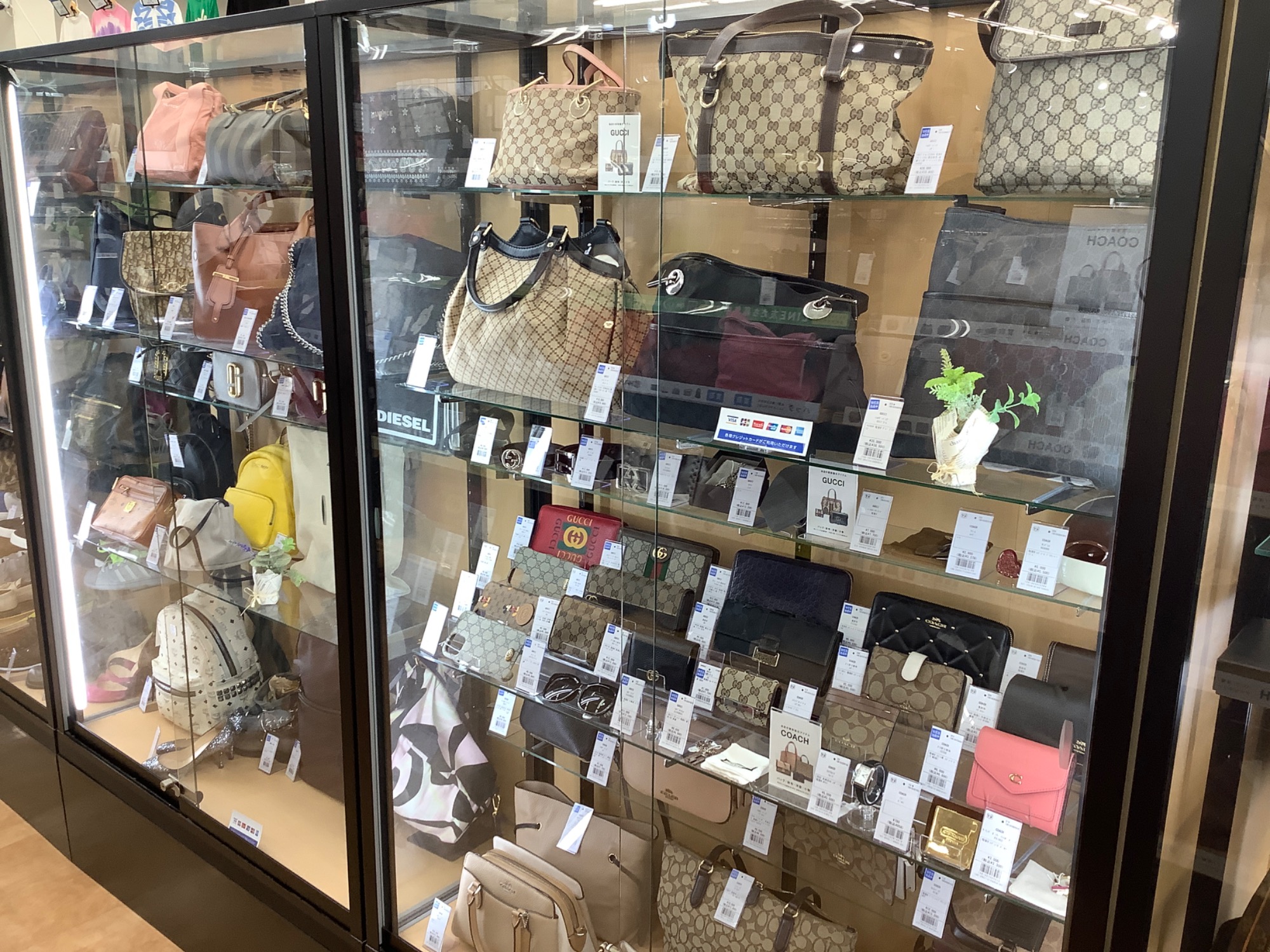 TORY BURCH(トリーバーチ) 】チェーンショルダーバッグ新入荷