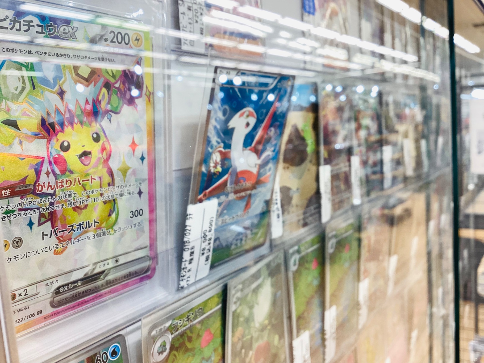 ポケモンカード】シブヤのピカチュウ が登場！！！｜2025年11月23日