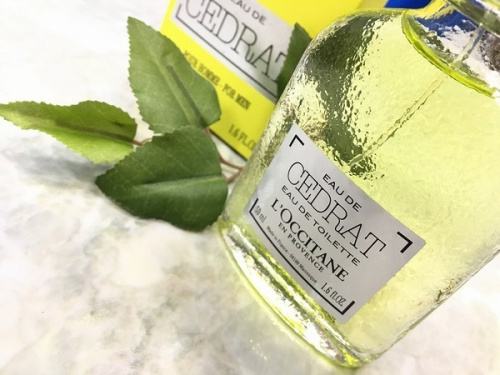 トレファクブログ画像１