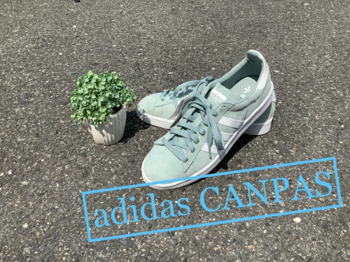 靴のスニーカー